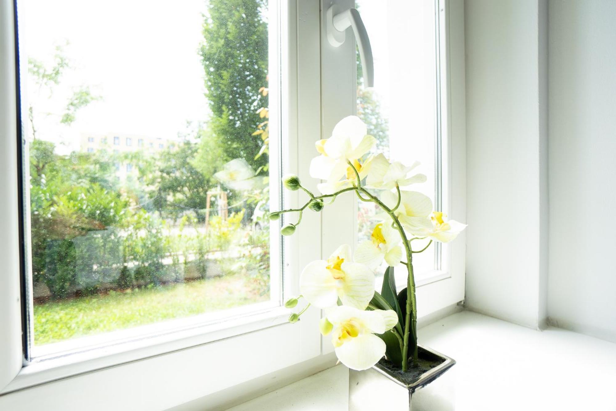 Dainn Apartments Schoenbrunn Viyana Dış mekan fotoğraf