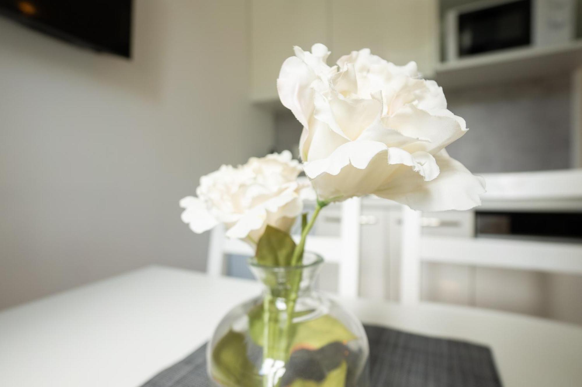 Dainn Apartments Schoenbrunn Viyana Dış mekan fotoğraf